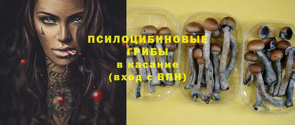 соль курить ск Белокуриха