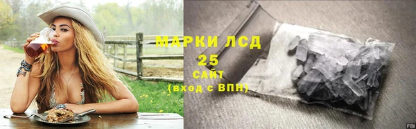 молекула духа Козельск