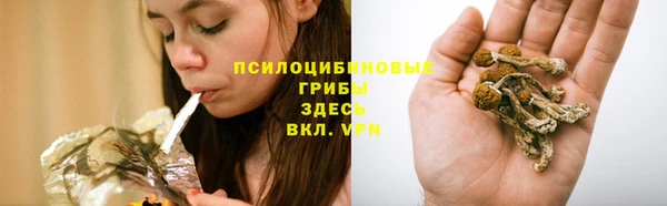 прущая мука Беломорск