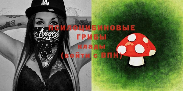 соль курить ск Белокуриха
