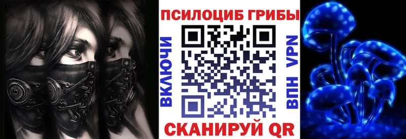 Галлюциногенные грибы Psilocybine cubensis  Курчалой 